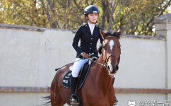 上课胸突然流奶被同学吃